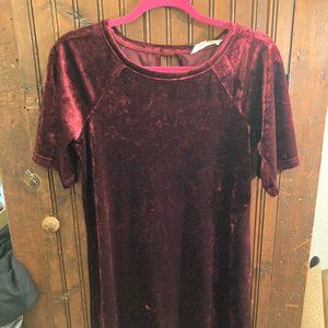 Red velvet BB Dakota dress